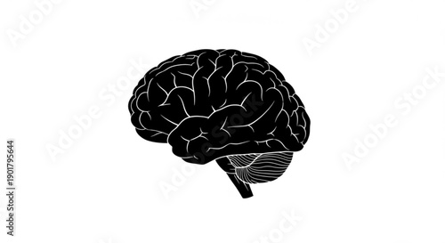 Illustration of a human brain viewed from the side, showcasing its detailed anatomy and structure in a simple black and white style