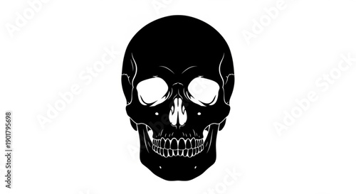 A black and white illustration of a human skull viewed from the front with detailed facial structure and teeth