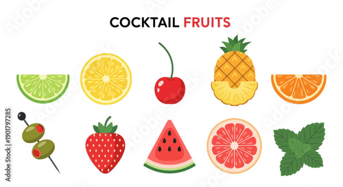 Flat vector illustration of ten cocktail garnishes including fruits and mint