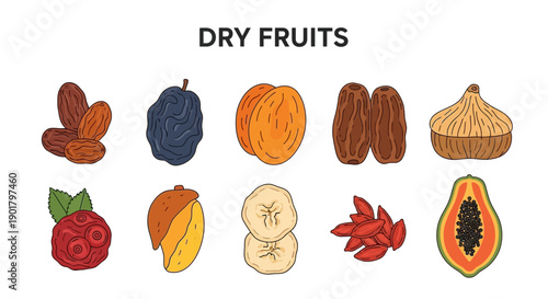Illustration of ten different types of dried fruits arranged in two rows