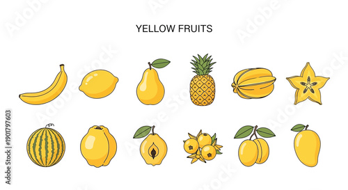 Illustration of twelve different yellow fruits arranged in two rows