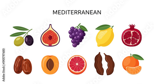 Row of ten Mediterranean fruits and olives illustrated on a white background