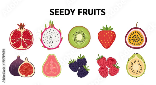 Illustration of various seedy fruits displayed against a white background