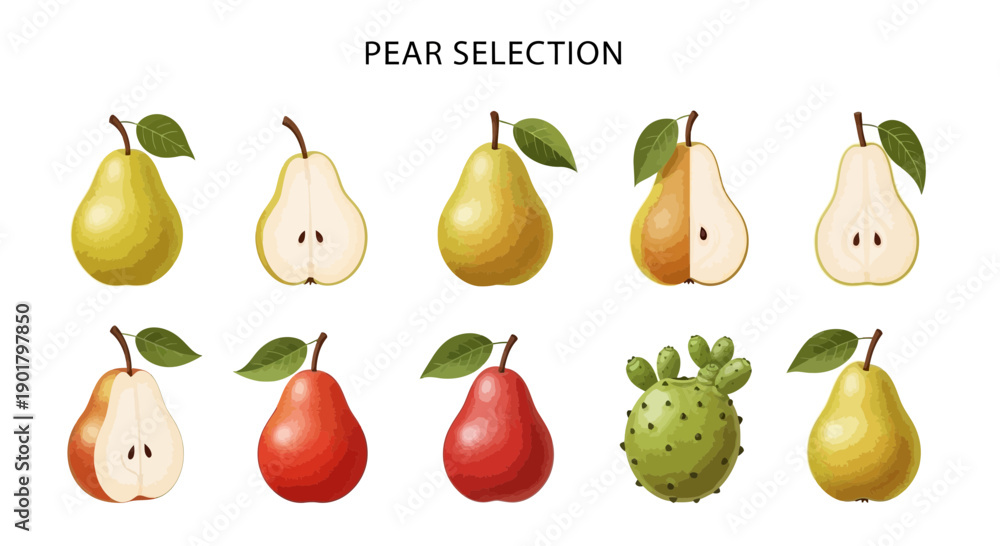 Obraz premium Ten illustrations of various pears and one prickly pear fruit against a white background