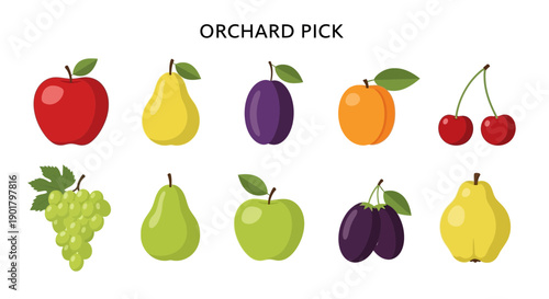 Ten illustrations of fruits arranged in two rows under the text ORCHARD PICK