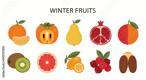 Ten illustrations of winter fruits arranged in two rows titled WINTER FRUITS