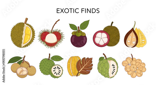 Ten types of exotic tropical fruits illustrated in two rows