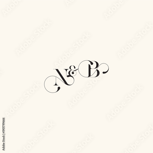 with monogram concept elegancy and beauty in one look BN wedding caligraphic logo letter