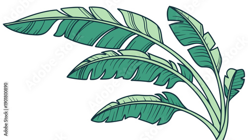 Vibrant banana leaves illustration for tropical designs