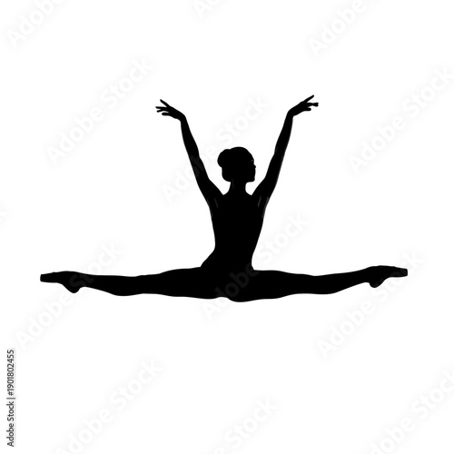 Graceful Ballet Silhouette of Woman in Leotard Pose, Studio View