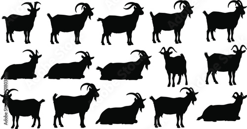 Vector, black, silhouette, illustration, set, of, various, goats, in, different, poses, including, standing, sitting, and, walking, for, farm, livestock, agriculture, and, rural, animal, design