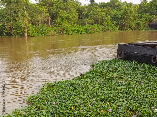 Photos riverine environment in Niger Delta region of nigeria heavily populated by water