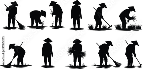 Traditional Asian farmers in conical hats working in rice fields, planting, harvesting, sweeping, agricultural labor, rural lifestyle illustration