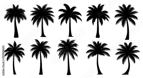 Collection of ten distinct black silhouettes of palm trees against a white background, showcasing varied shapes and sizes.