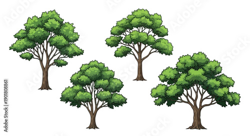 A collection of four stylized illustrations of deciduous trees with lush green foliage and brown trunks, set against a white background.