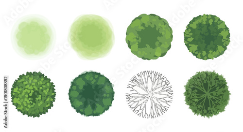 Collection of stylized top-down views of trees, ranging from abstract watercolor washes to detailed illustrations.
