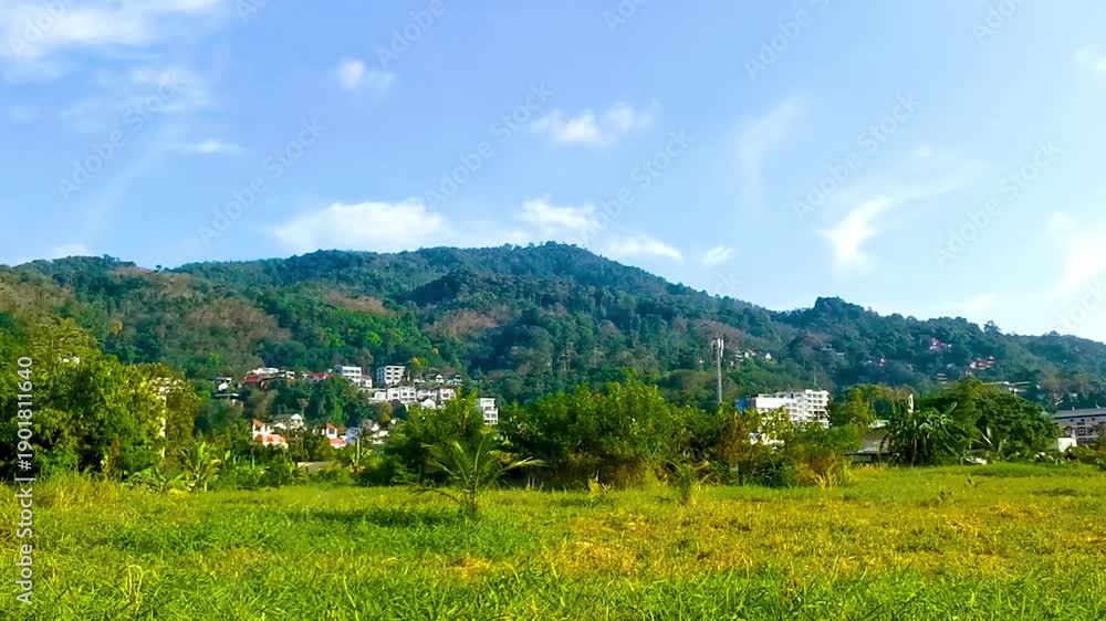 custom made wallpaper toronto digitalPanoramic view tropical landscape mountains city beach Patong Phuket Thailand.