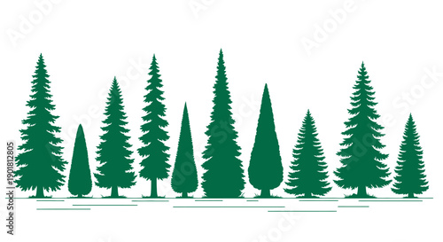 A collection of stylized green evergreen trees of various shapes and sizes, standing in a row against a white background.