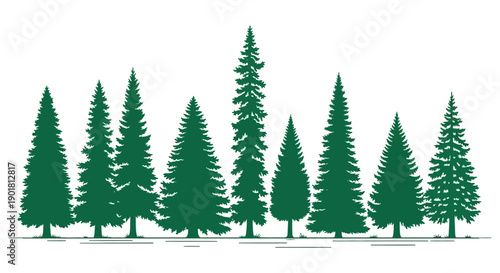 A row of various green evergreen trees, including firs, spruces, and pines, standing tall against a white background.