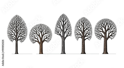 Five stylized bare trees with intricate branch patterns on a white background, showcasing various shapes and sizes.