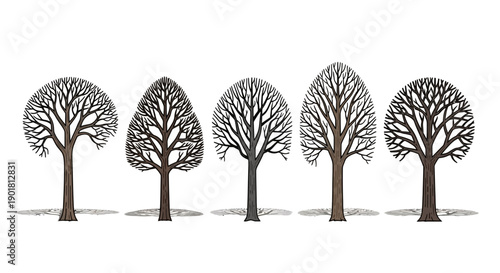 Five stylized bare trees with intricate branch patterns in a row against a white background, showcasing various winter silhouettes.