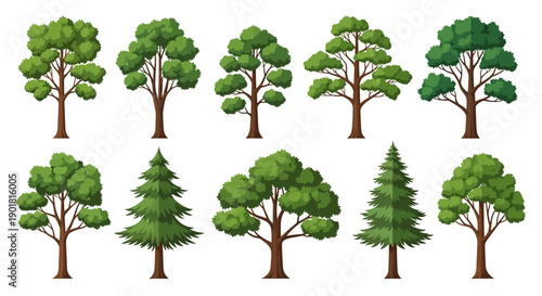A collection of ten diverse cartoon-style trees, showcasing various shapes and foliage types, presented against a clean white background.
