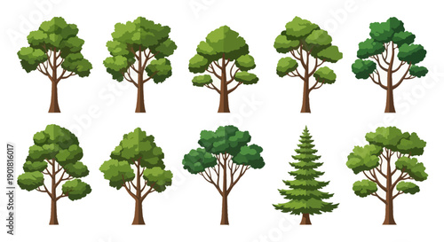 Collection of diverse deciduous and coniferous trees with detailed green foliage and brown trunks, presented in two rows against a white background.