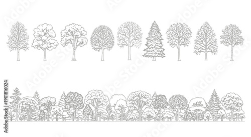 A detailed line art illustration showcasing a variety of deciduous and coniferous trees in two distinct rows, representing a forest landscape.