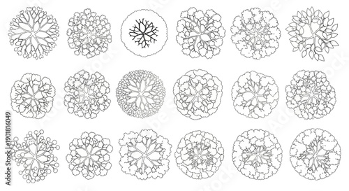 A collection of detailed black and white top-down drawings of various trees, showcasing different leaf patterns and canopy shapes.