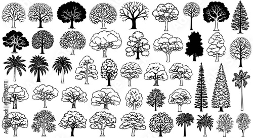 A comprehensive collection of diverse tree illustrations, showcasing various species and styles in a black and white line art format.