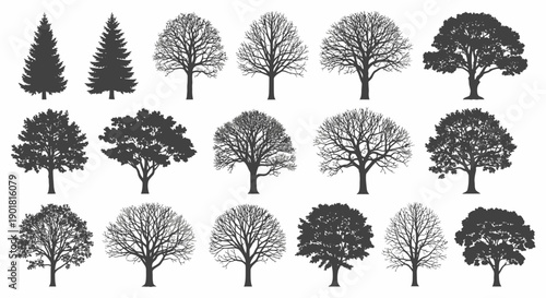 A collection of diverse tree silhouettes, showcasing various species and shapes in a detailed illustration.