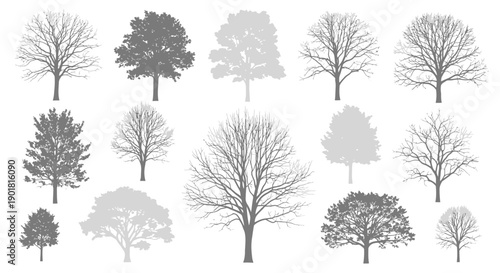 A collection of diverse deciduous trees in silhouette, showcasing various shapes and branch structures during winter or dormancy.