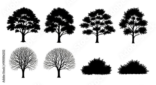 A collection of black silhouette illustrations of various trees and bushes in different seasons.