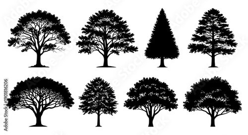 A collection of eight distinct black silhouettes of deciduous and coniferous trees, showcasing varied shapes and foliage patterns against a white background.