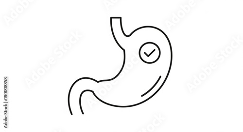 Simple line illustration of a human stomach with a checkmark, indicating health or approval, from a straightforward anatomical viewpoint