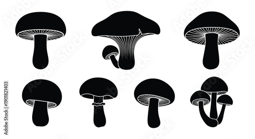 A collection of black and white mushroom illustrations in varying shapes