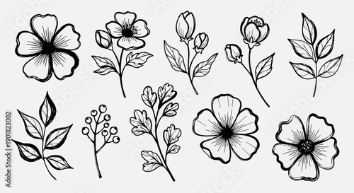 A collection of hand-drawn floral elements including various flowers, buds, and leaves in a delicate sketch style.