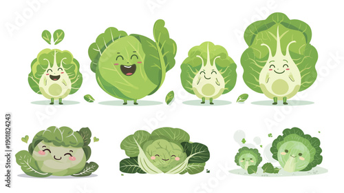 Cute cabbage vector illustration with clean shapes, flat design vegetable character, no gradients