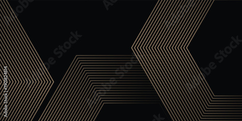 Abstract glowing geometric lines on black background. Modern shiny hexagon lines pattern. vector illustration eps10