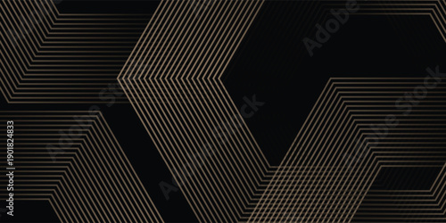 Abstract glowing geometric lines on black background. Modern shiny hexagon lines pattern. vector illustration eps10