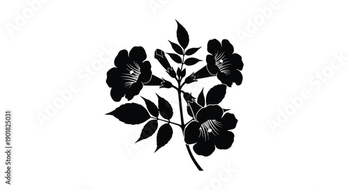 A stark black and white illustration depicts a flowering branch with several blossoms and lush foliage high quality professional detailed
