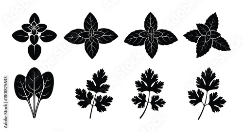 Collection of black silhouette herb and leaf illustrations