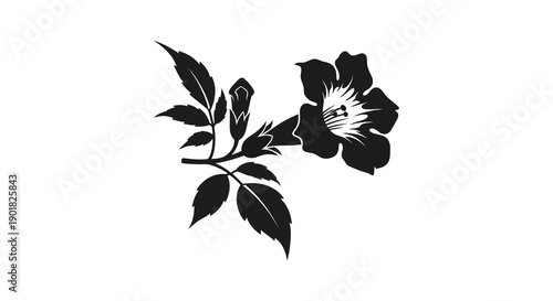 A striking black and white illustration depicts a delicate flower blossom with accompanying leaves on a stem