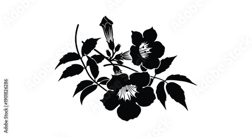 A striking black and white illustration depicts delicate clematis flowers and foliage showcasing botanical artistry high quality professional detailed modern