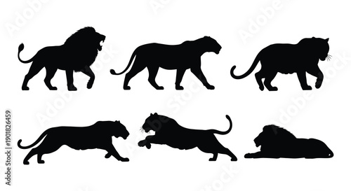 Silhouette depictions of lions in various poses and activities