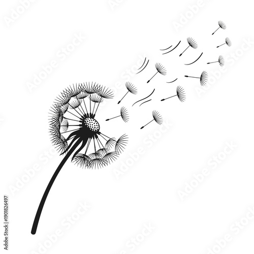 Dandelion Seeds Blowing in Wind.