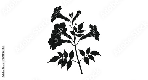 A striking black and white illustration depicting a flowering plant with trumpet shaped blossoms and lush foliage high quality