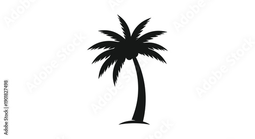 A simple black silhouette of a palm tree stands prominently against a stark white background evoking tropical vibes