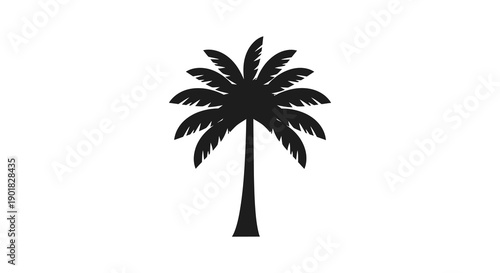A stark black silhouette depicts a mature palm tree with fully spread fronds against a plain white background