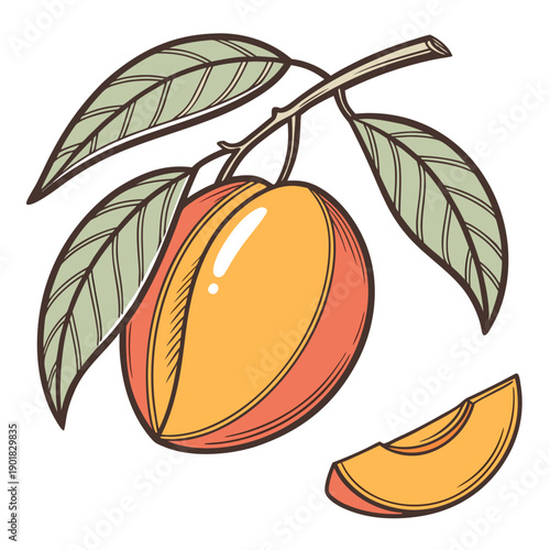 Vászonkép A vibrant illustration of a ripe mango with a slice and leaves